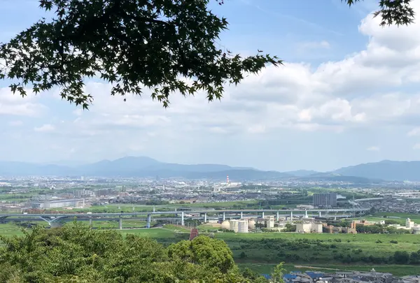 石清水八幡宮の写真・動画_image_784216