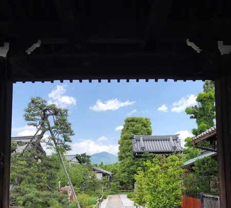 天寧寺の写真・動画_image_784226