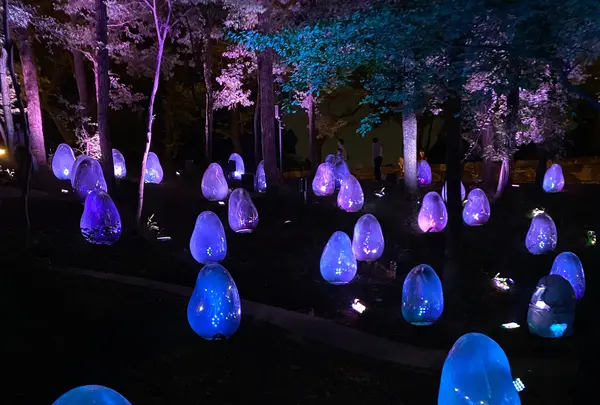 武蔵野樹林パークの写真・動画_image_785852