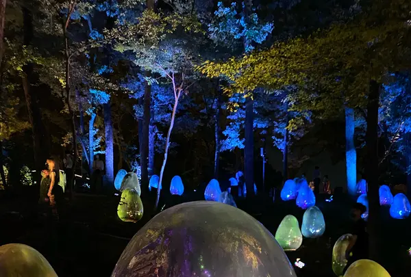 武蔵野樹林パークの写真・動画_image_785853