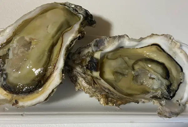 さかなや水嶋の写真・動画_image_785923