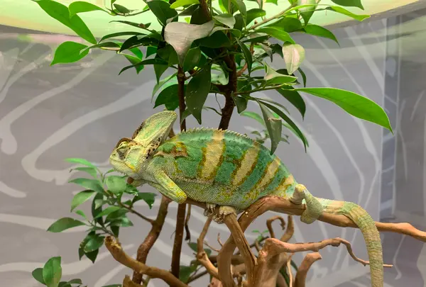 NIFREL（ニフレル）の写真・動画_image_786055