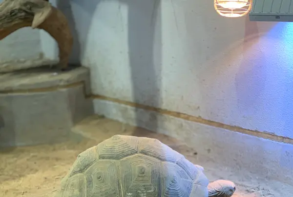 NIFREL（ニフレル）の写真・動画_image_786057