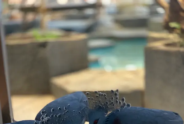 NIFREL（ニフレル）の写真・動画_image_786058