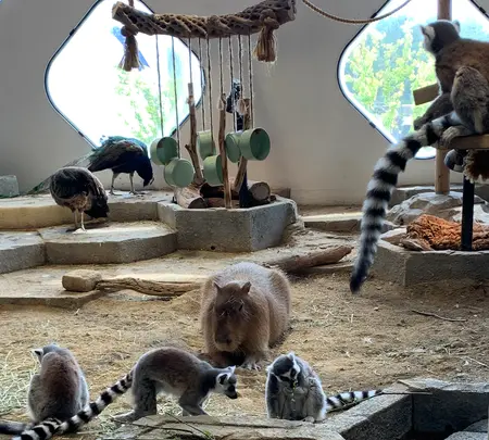 NIFREL（ニフレル）の写真・動画_image_786060