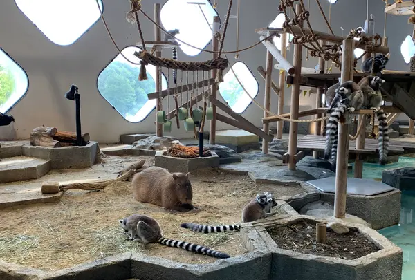 NIFREL（ニフレル）の写真・動画_image_786061