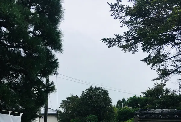 庭園カフェ 畔亭の写真・動画_image_787545