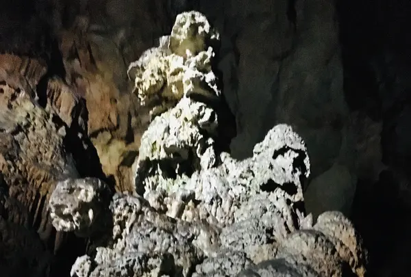 秋芳洞の写真・動画_image_787607