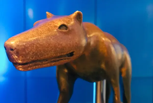 名古屋港水族館の写真・動画_image_787618