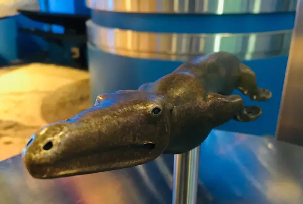 名古屋港水族館の写真・動画_image_787619