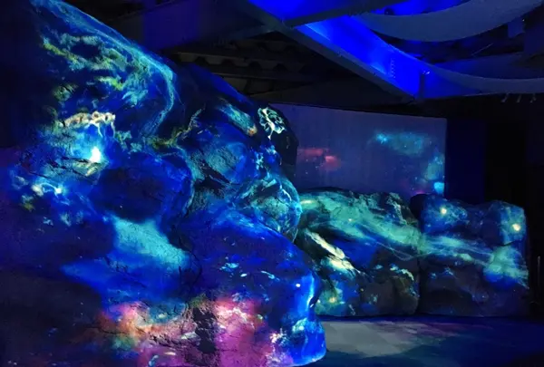 新江ノ島水族館の写真・動画_image_787682