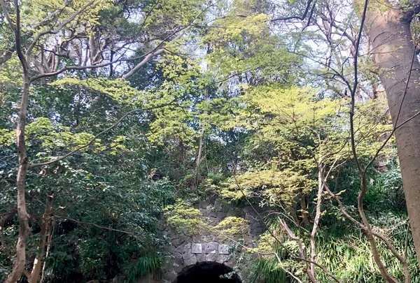 鎌倉文学館の写真・動画_image_788480