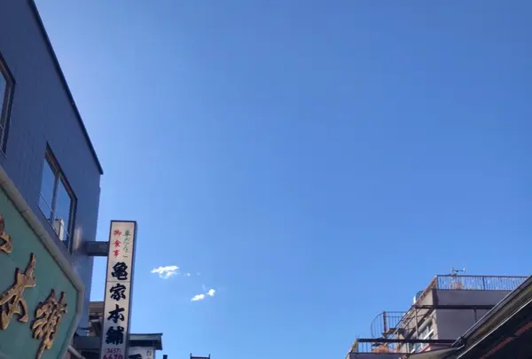 題経寺（柴又帝釈天）の写真・動画_image_788702