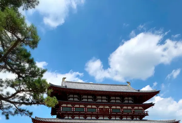 薬師寺の写真・動画_image_788824