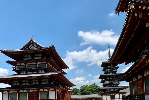 薬師寺の写真・動画_image_788828