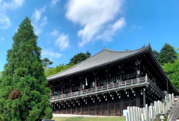 東大寺二月堂の写真・動画_image_788863