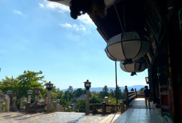 東大寺二月堂の写真・動画_image_788865