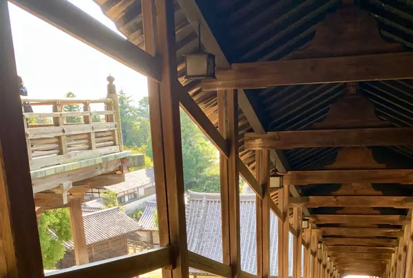 東大寺二月堂の写真・動画_image_788868
