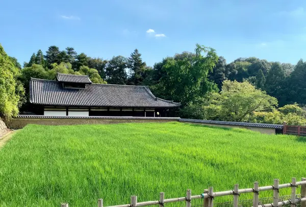 東大寺二月堂の写真・動画_image_788872