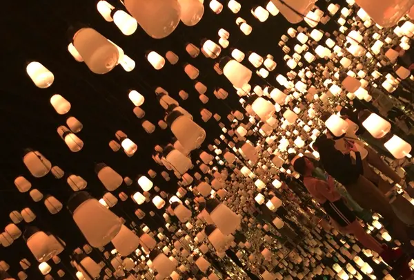 【閉業】森ビルデジタルアートミュージアム：エプソン チームラボボーダレス（MORI Building Digital Art Museum: EPSON teamLab Borderless）の写真・動画_image_789114