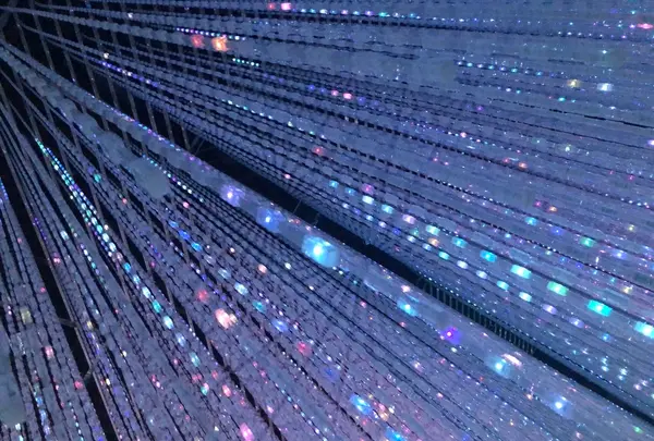 【閉業】森ビルデジタルアートミュージアム：エプソン チームラボボーダレス（MORI Building Digital Art Museum: EPSON teamLab Borderless）の写真・動画_image_789115