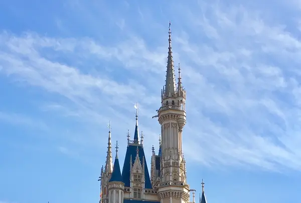 東京ディズニーランドの写真・動画_image_789237
