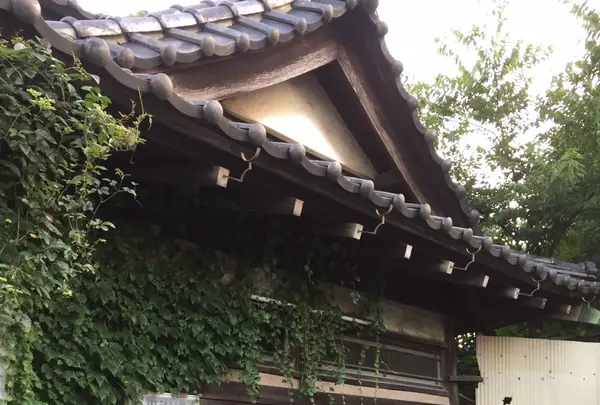 小平浴場の写真・動画_image_790383
