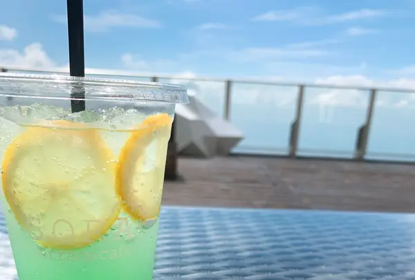 SORA terrace（ソラテラス）の写真・動画_image_793058