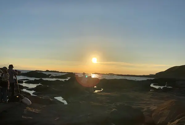 城ヶ島 馬の背洞門の写真・動画_image_794123