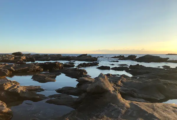 城ヶ島 馬の背洞門の写真・動画_image_794125