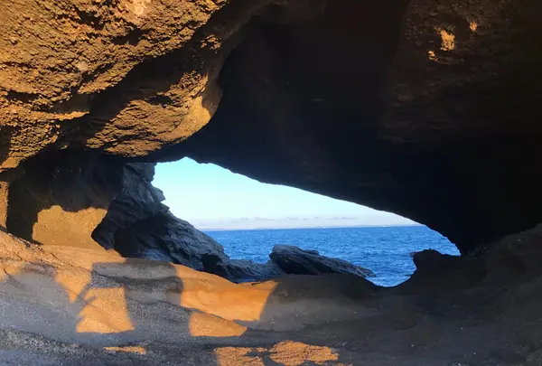 城ヶ島 馬の背洞門の写真・動画_image_794126