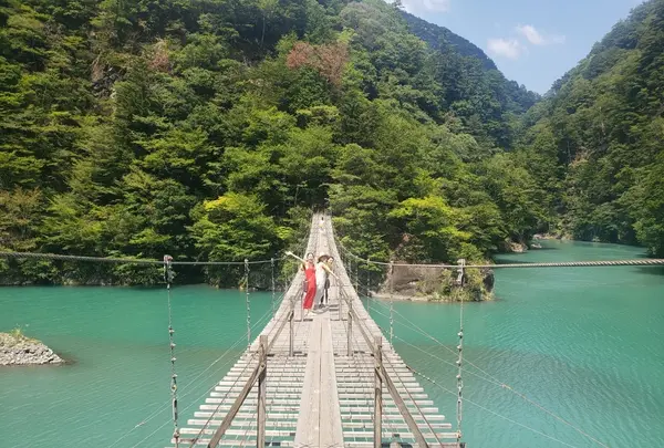 夢の吊橋の写真・動画_image_795126