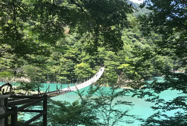 夢の吊橋の写真・動画_image_795127