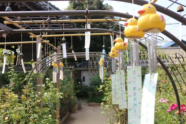 おふさ観音の写真・動画_image_795570