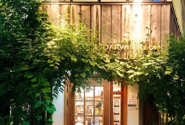 ダーウィンルームの写真・動画_image_796555