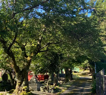 若狭鯖街道熊川宿の写真・動画_image_800655