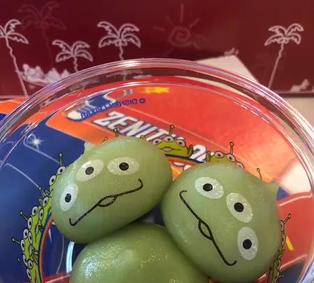 東京ディズニーランドの写真・動画_image_801019
