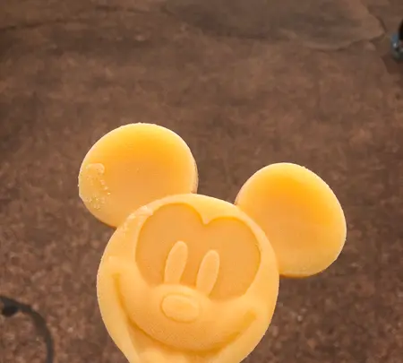 東京ディズニーランドの写真・動画_image_801020