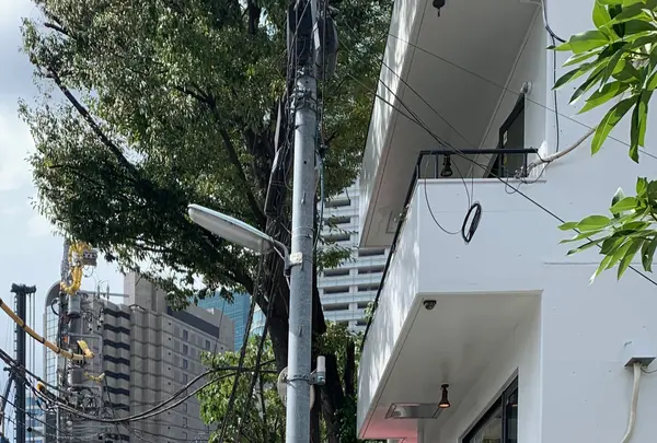 da olmoの写真・動画_image_803727