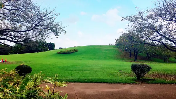 伊勢崎市いせさき市民のもり公園の写真・動画_image_805100