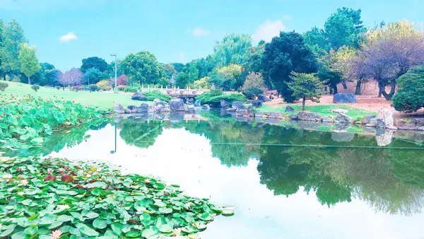 伊勢崎市いせさき市民のもり公園の写真・動画_image_805101