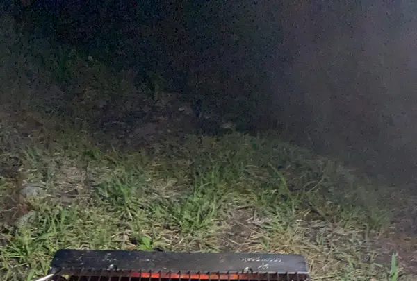 墓ノ木自然公園キャンプ場の写真・動画_image_810305