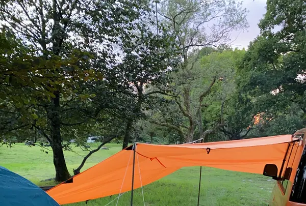 墓ノ木自然公園キャンプ場の写真・動画_image_810306