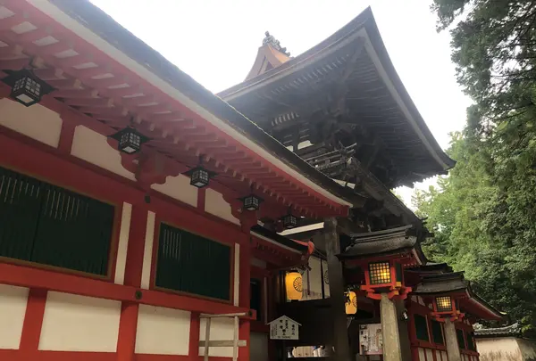 石上神宮の写真・動画_image_811761