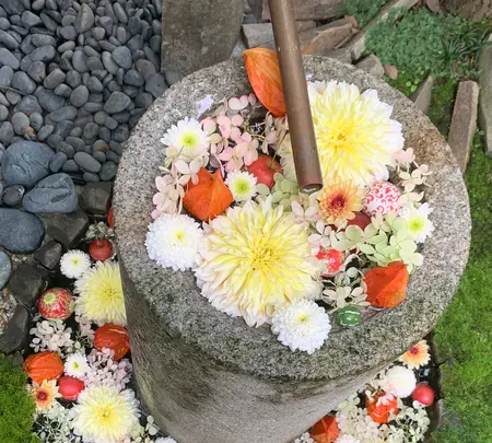 行田八幡神社の写真・動画_image_812324