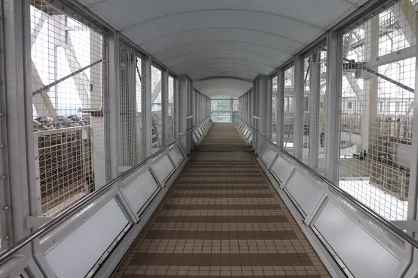 渦の道の写真・動画_image_812778