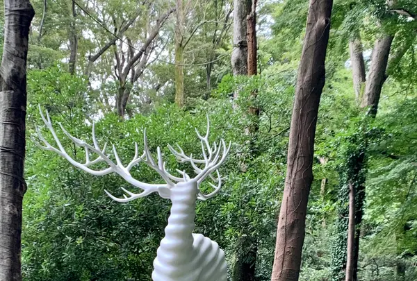 明治神宮の写真・動画_image_816145