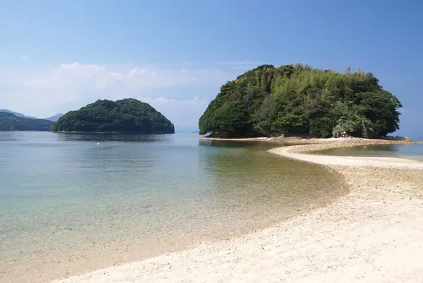 真宮島の写真・動画_image_816621