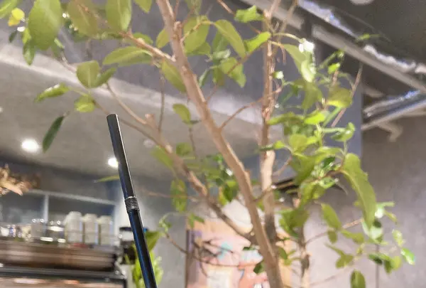 HafH SAI / Café and Barの写真・動画_image_820066