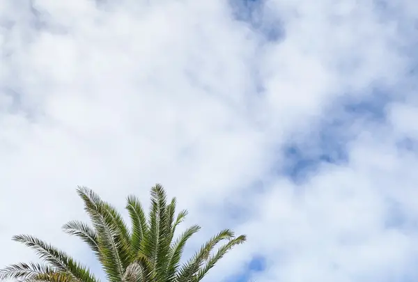 i+Land nagasakiの写真・動画_image_820133